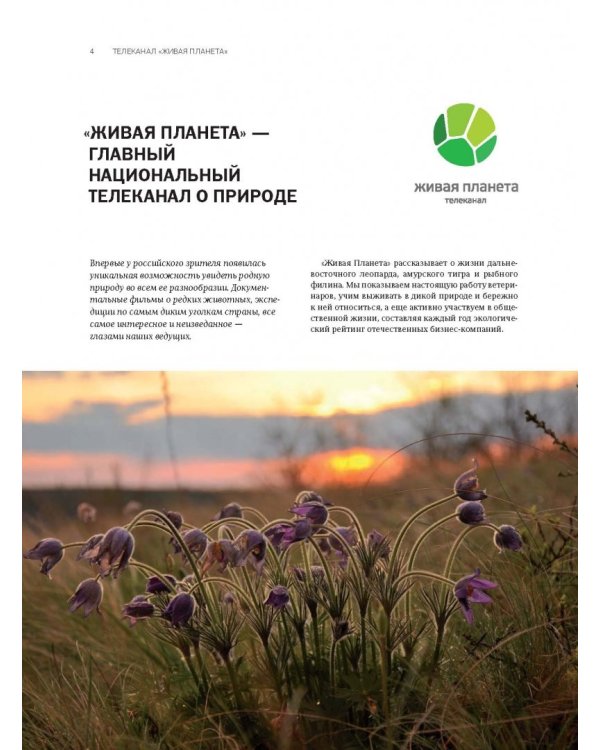 Моя Россия. Уникальные маршруты по заповедным местам