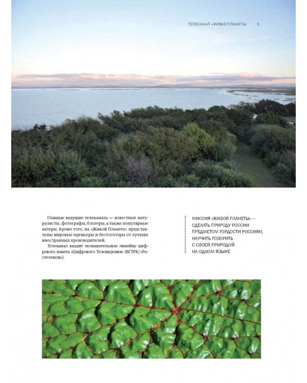 Моя Россия. Уникальные маршруты по заповедным местам