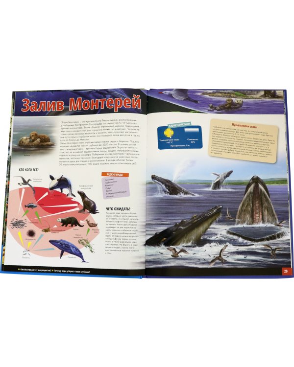 Жизнь животных. Моря и океаны