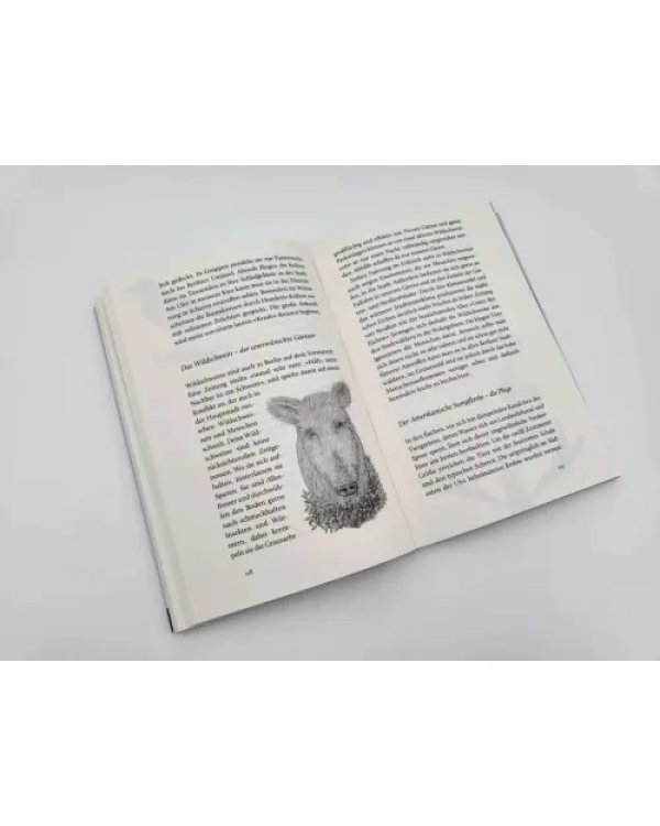 Von Füchsen und Menschen. Auf den Spuren unserer schlauen Nachbarn