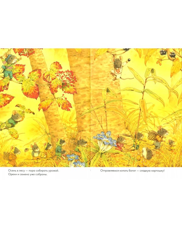 14 лесных мышей. Сладкая картошка