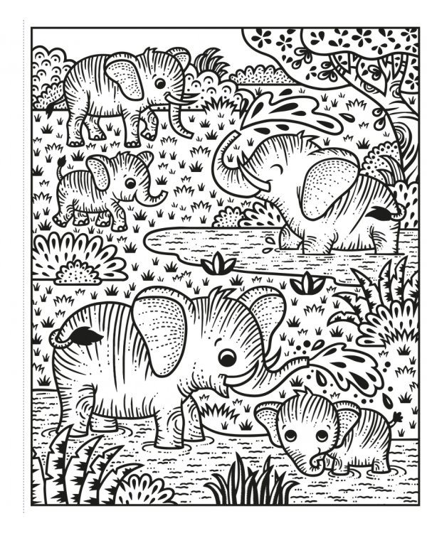 Zoo. Magic Painting Book