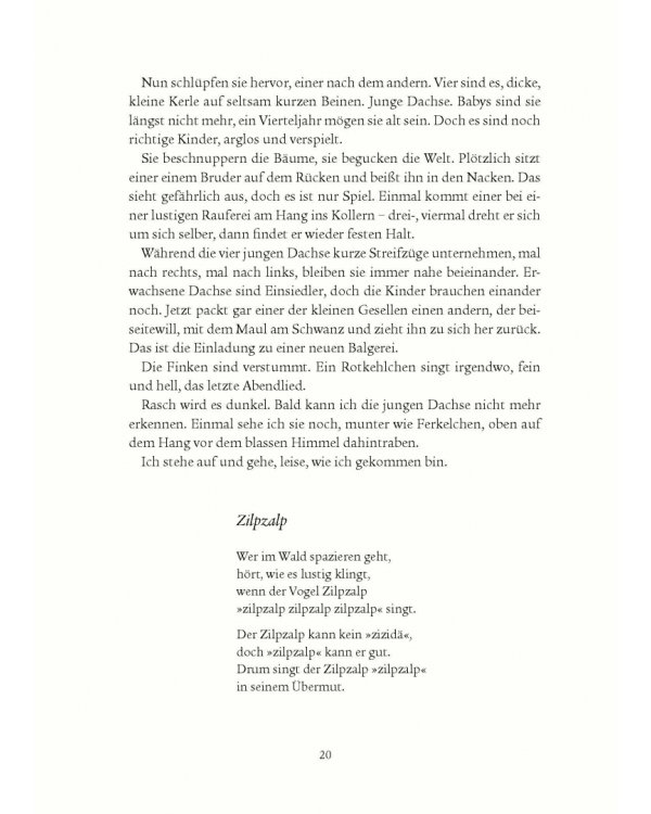 Oh, Verzeihung, sagte die Ameise