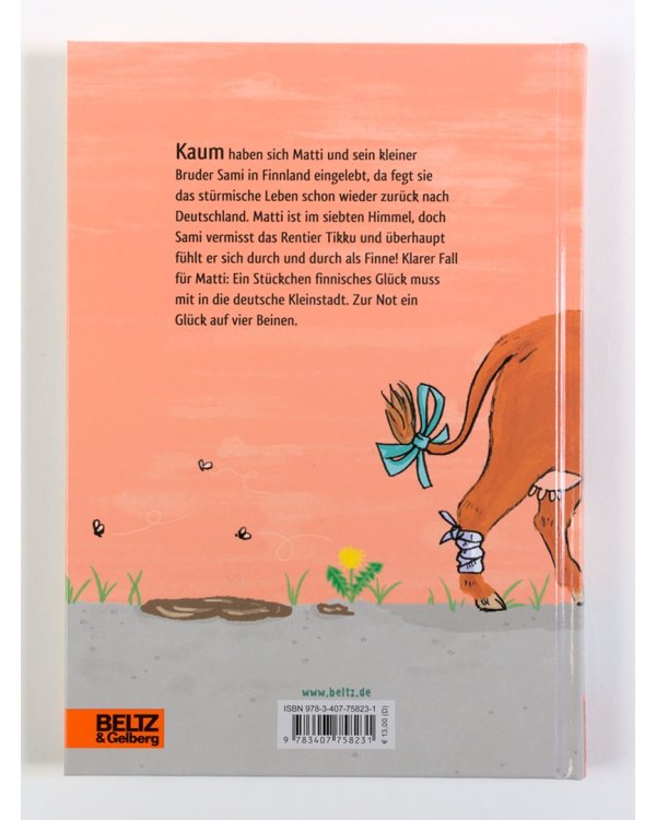 Ein Brüderpaar zimmert sich sein Glück