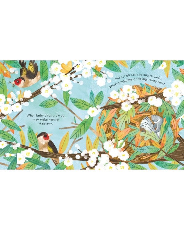 Peep Inside a Bird's Nest