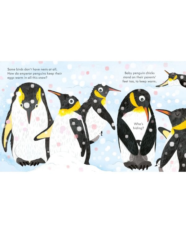 Peep Inside a Bird's Nest