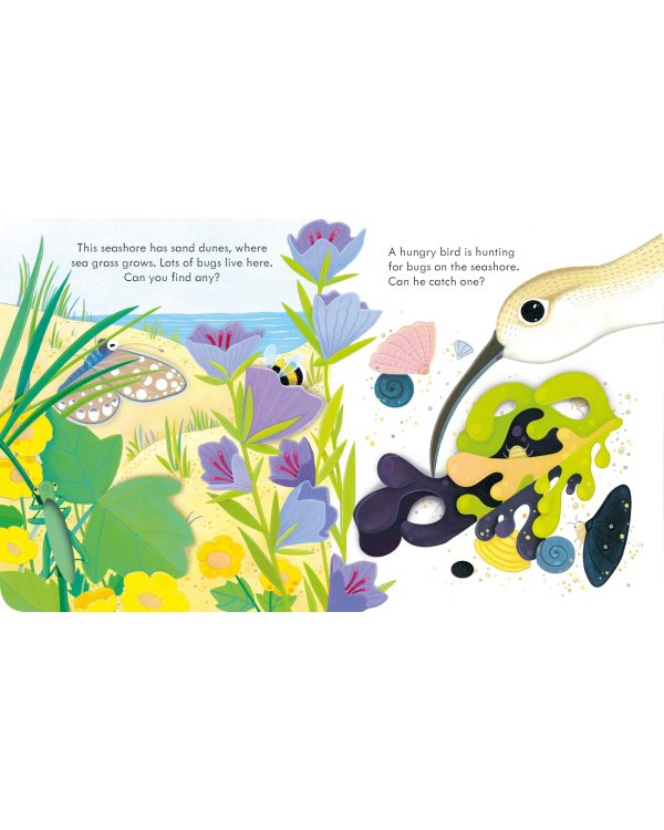 Peep Inside the Seashore