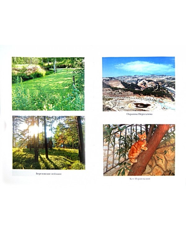 Без любви жить нельзя. Рассказы о святых и верующих