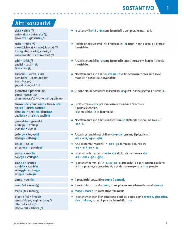 Grammatica pratica. Edizione aggiornata
