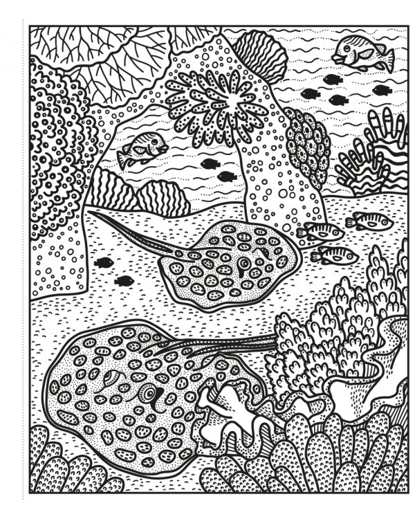 Coral Reef. Magic Painting Book