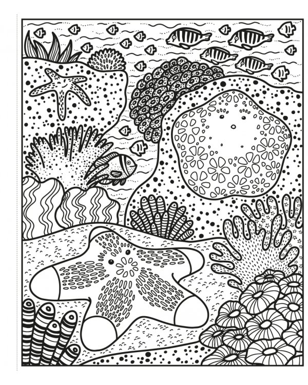 Coral Reef. Magic Painting Book