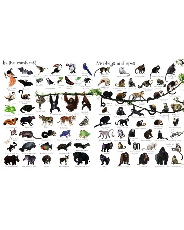 1000 Animals (1000 Pictures)
