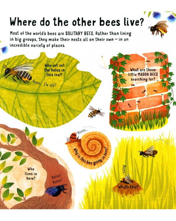 Look Inside the World of Bees