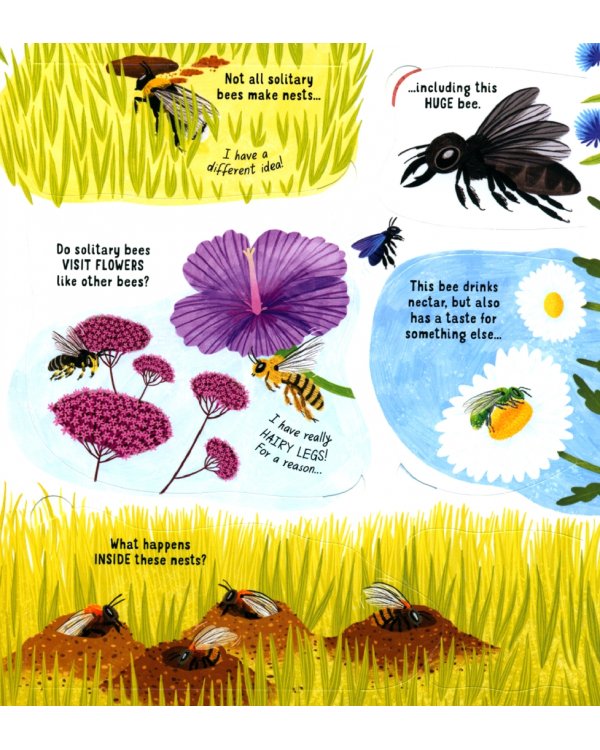 Look Inside the World of Bees