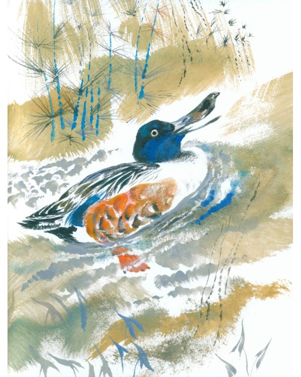 Лесные сказки. Комплект из 4 книг