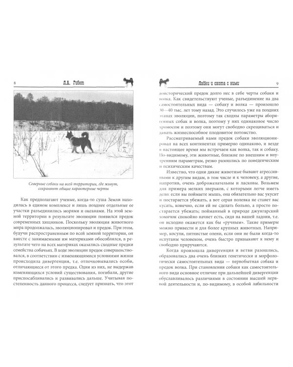 Лайки и охота с ними