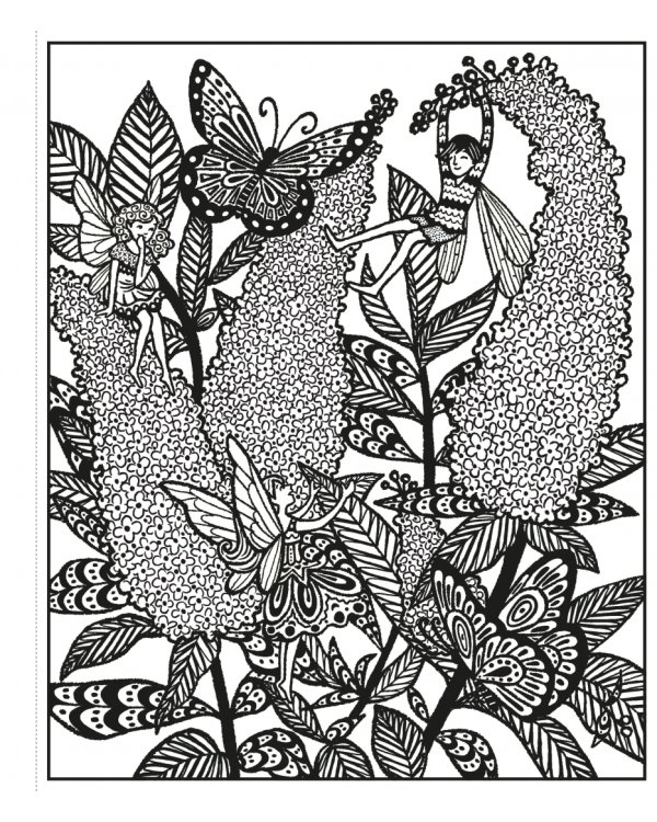 Fairy Gardens. Magic Painting Book