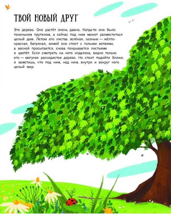 Как зовут твое дерево?