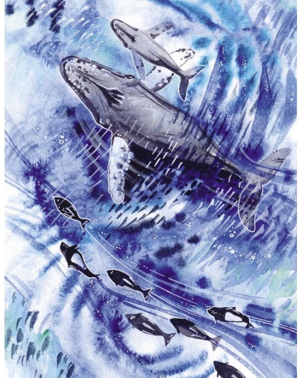 Маленькая косатка