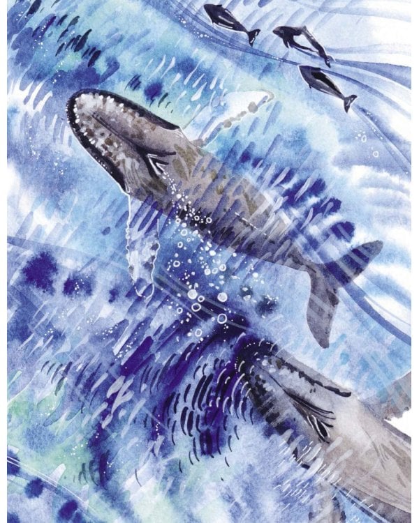 Маленькая косатка