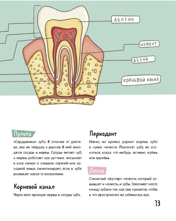 Зубастая энциклопедия
