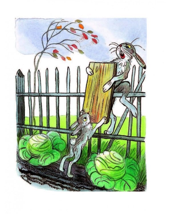 Любимые сказки в рисунках В. Сутеева