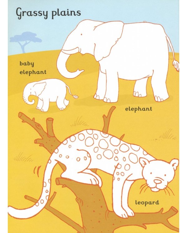 First Colouring Book. Animals