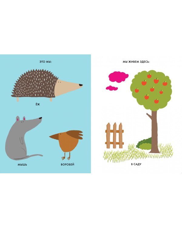 Мой маленький сад