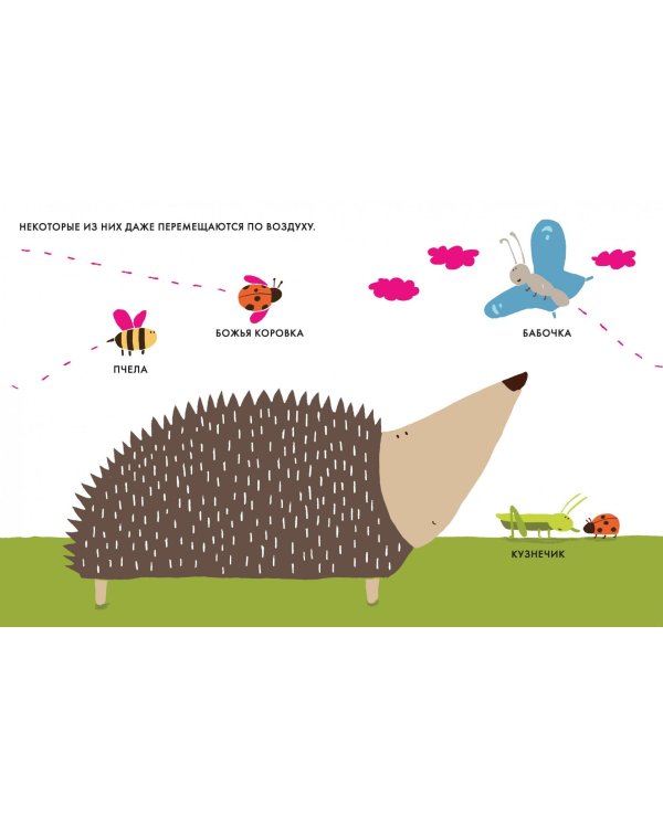 Мой маленький сад