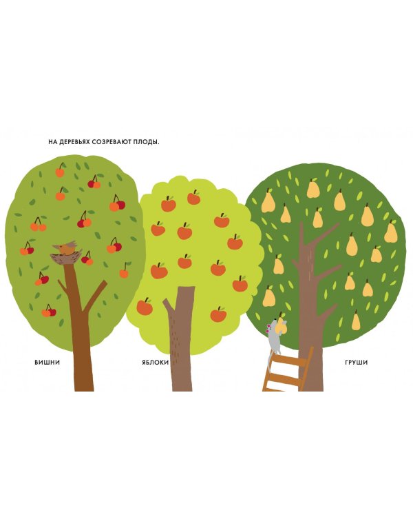 Мой маленький сад