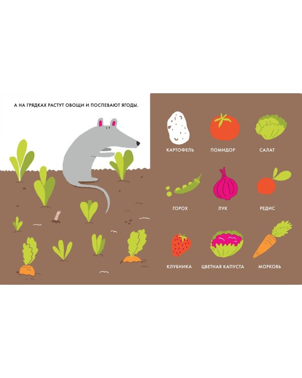 Мой маленький сад