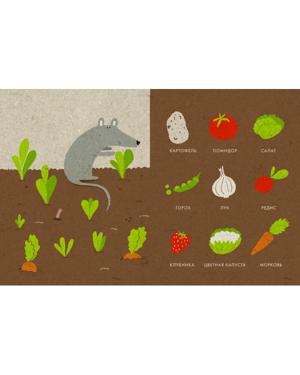 Мой маленький сад