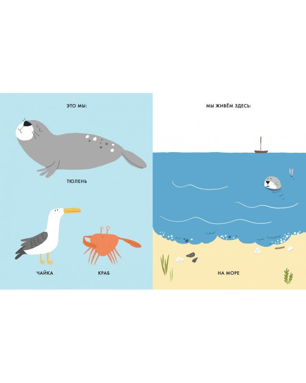 Моё маленькое море