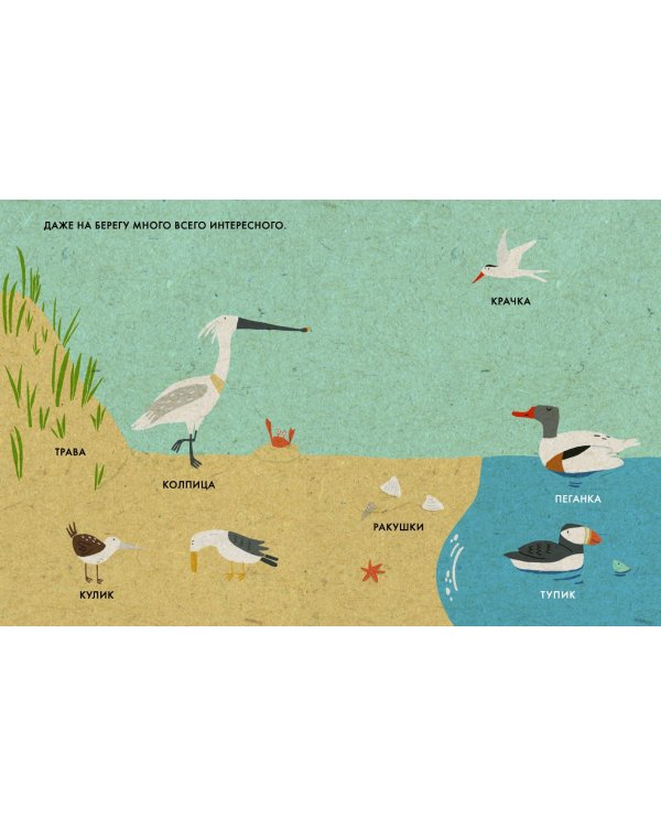 Моё маленькое море