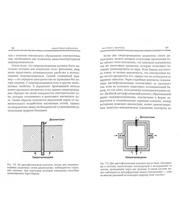 В поисках кота Шредингера. Квантовая физика и реальность