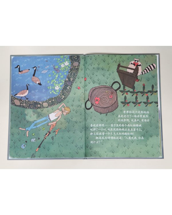 Еноты моего брата (на китайском языке)