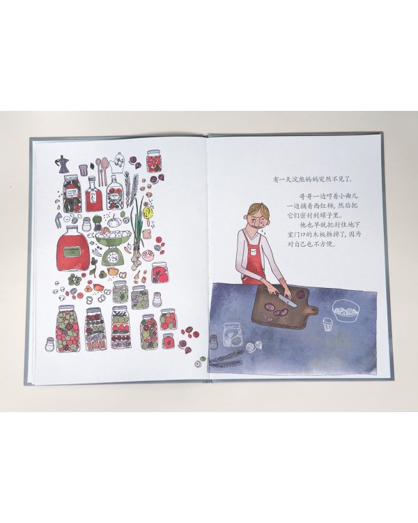 Еноты моего брата (на китайском языке)