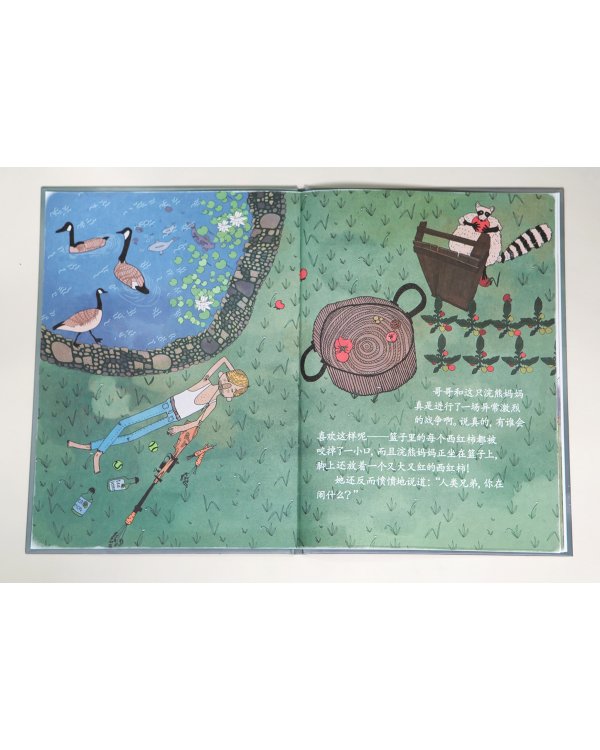 Еноты моего брата (на китайском языке)