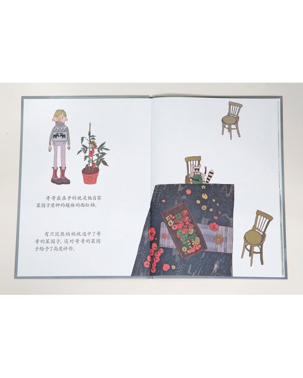 Еноты моего брата (на китайском языке)