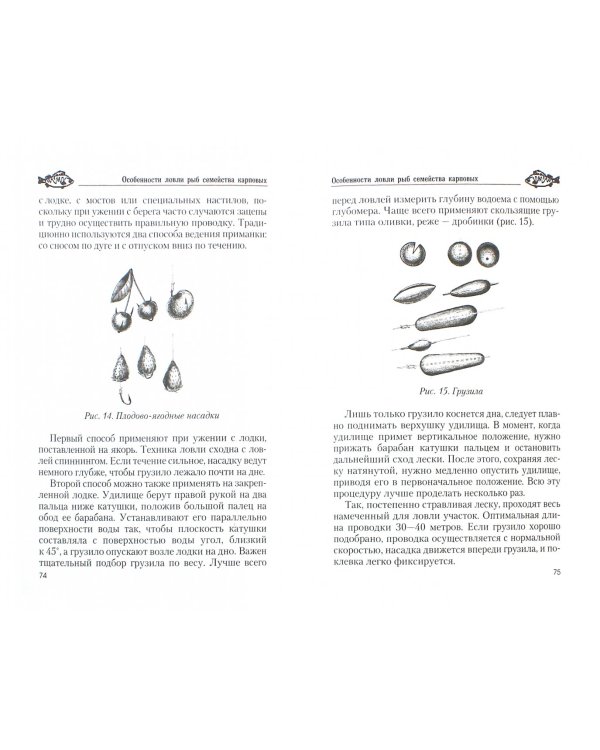 Особенности ловли рыб семейства карповых
