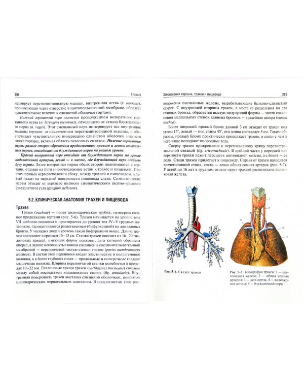 Оториноларингология. Учебник