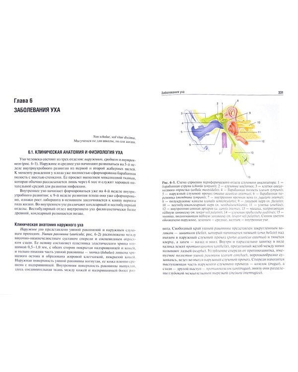 Оториноларингология. Учебник