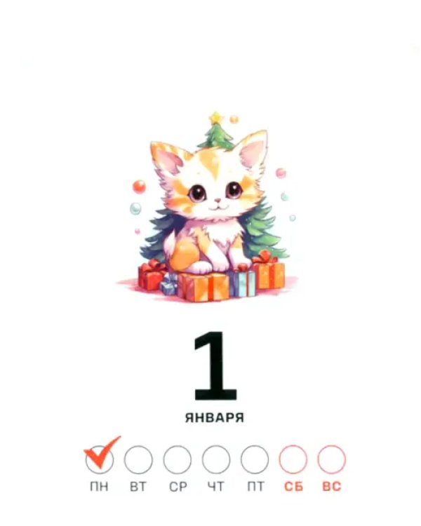 2024 Календарь настольный Нейрокот на каждый день