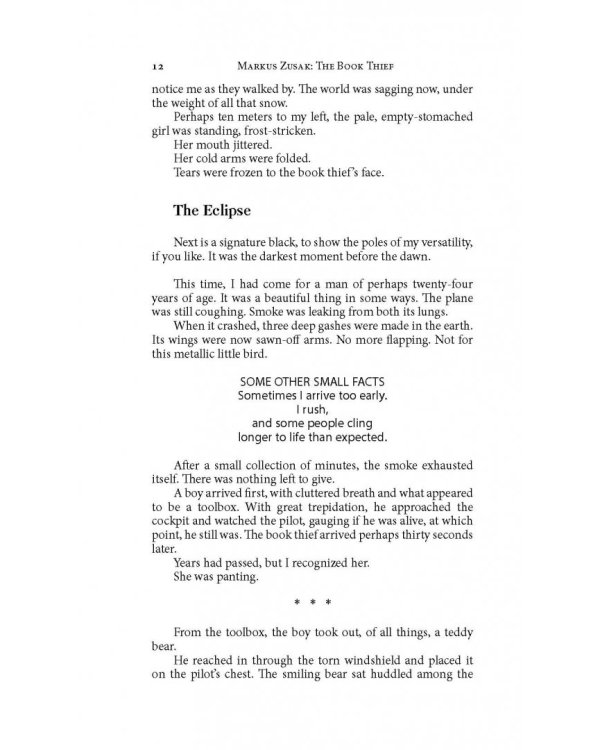 Книжный вор. The Book Thief