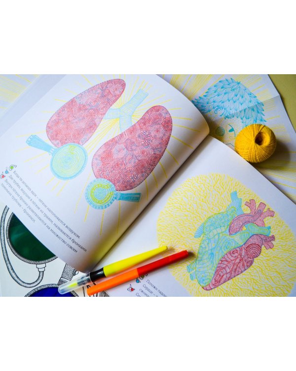 Что у меня внутри?