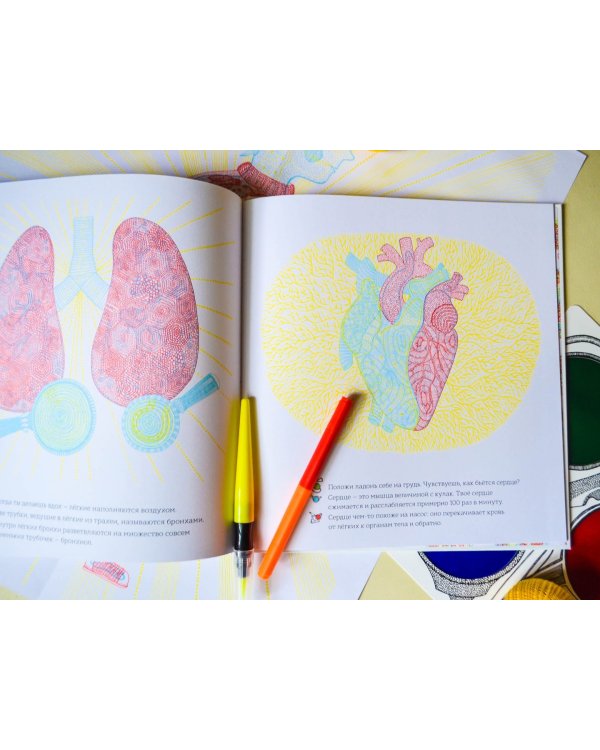 Что у меня внутри?