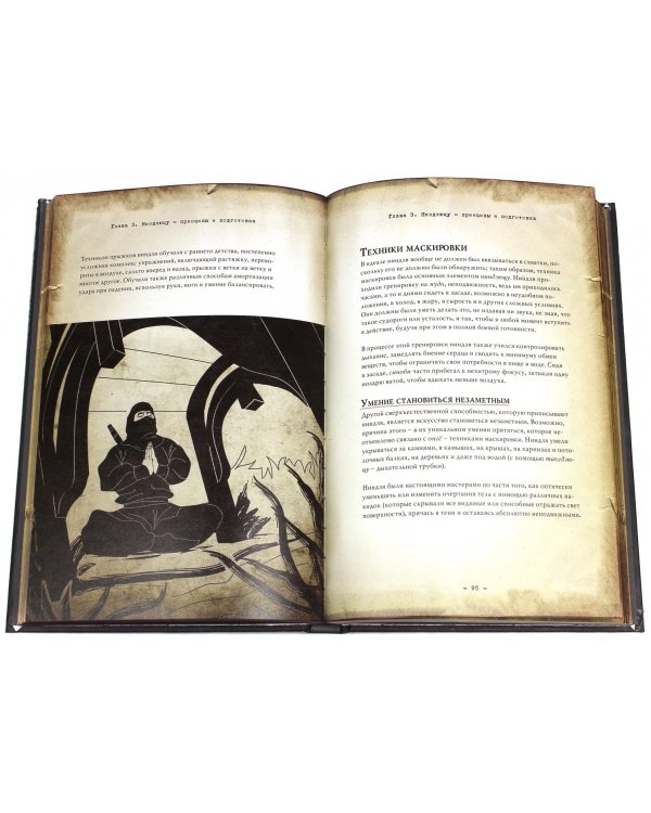 Ниндзя. Воин тени