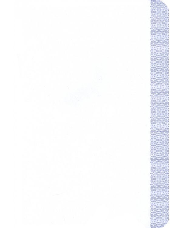 Тетрадь Золотые линии. Дизайн 1, 48 листов, А5-, нелинованная