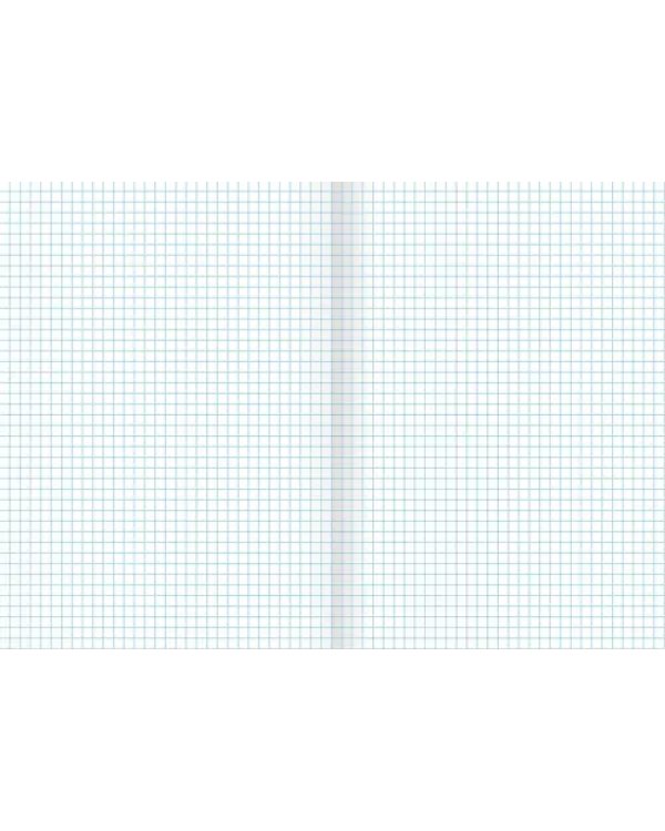 Тетрадь для конспектов Классическая, розовая, А4, 80 листов