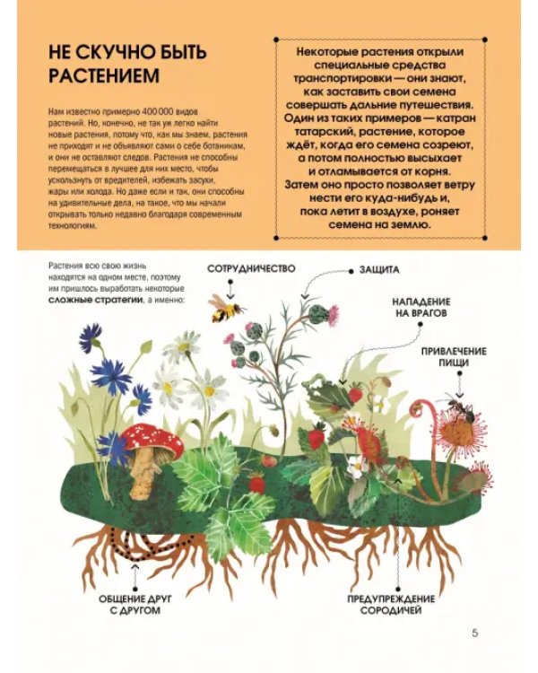 Язык растений. Понимаем, как общаются растения